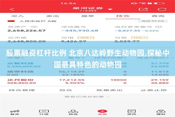 股票融资杠杆比例 北京八达岭野生动物园,探秘中国最具特色的动物园