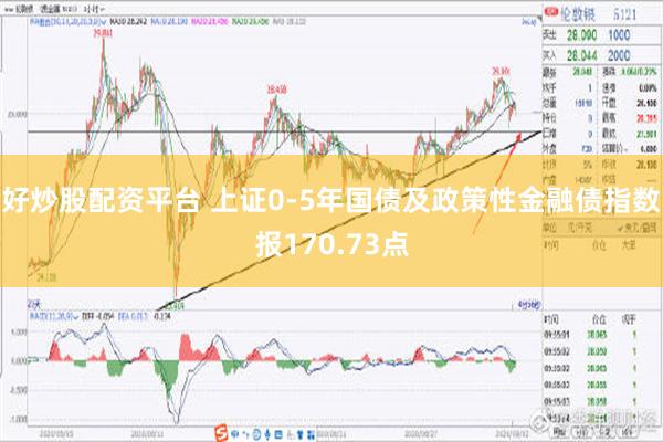 好炒股配资平台 上证0-5年国债及政策性金融债指数报170.73点