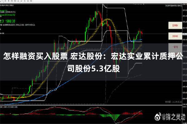 怎样融资买入股票 宏达股份：宏达实业累计质押公司股份5.3亿股