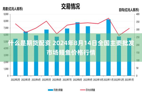 什么是期货配资 2024年8月14日全国主要批发市场鳗鱼价格行情