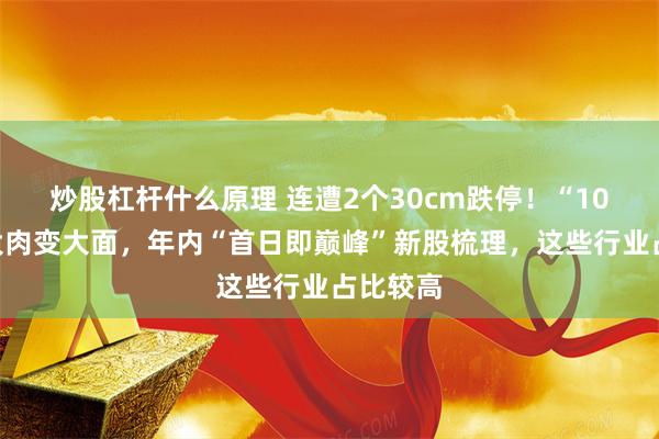 炒股杠杆什么原理 连遭2个30cm跌停！“10倍股”大肉变大面，年内“首日即巅峰”新股梳理，这些行业占比较高