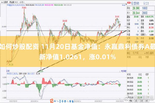 如何炒股配资 11月20日基金净值：永赢鼎利债券A最新净值1.0261，涨0.01%