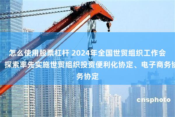 怎么使用股票杠杆 2024年全国世贸组织工作会议：探索率先实施世贸组织投资便利化协定、电子商务协定