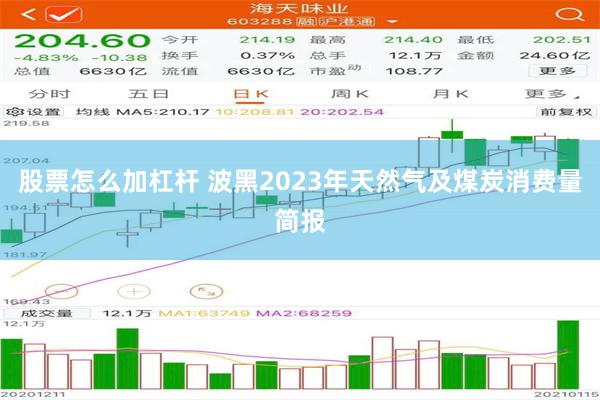 股票怎么加杠杆 波黑2023年天然气及煤炭消费量简报