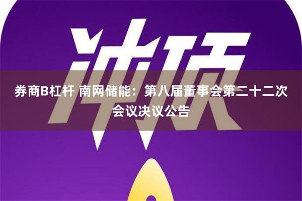 券商B杠杆 南网储能：第八届董事会第二十二次会议决议公告