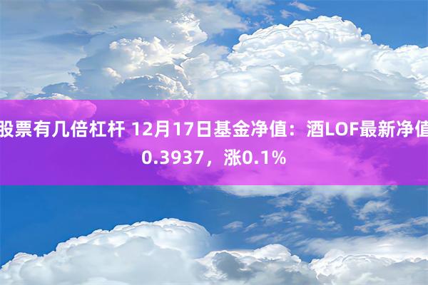 股票有几倍杠杆 12月17日基金净值：酒LOF最新净值0.3937，涨0.1%