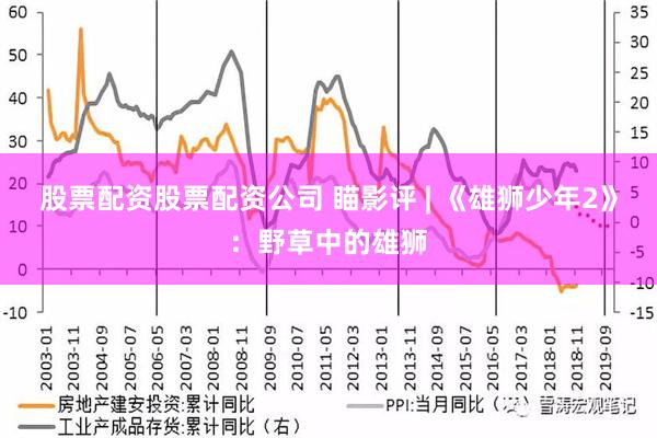 股票配资股票配资公司 瞄影评 | 《雄狮少年2》：野草中的雄狮