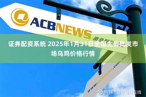 证券配资系统 2025年1月31日全国主要批发市场乌鸡价格行情